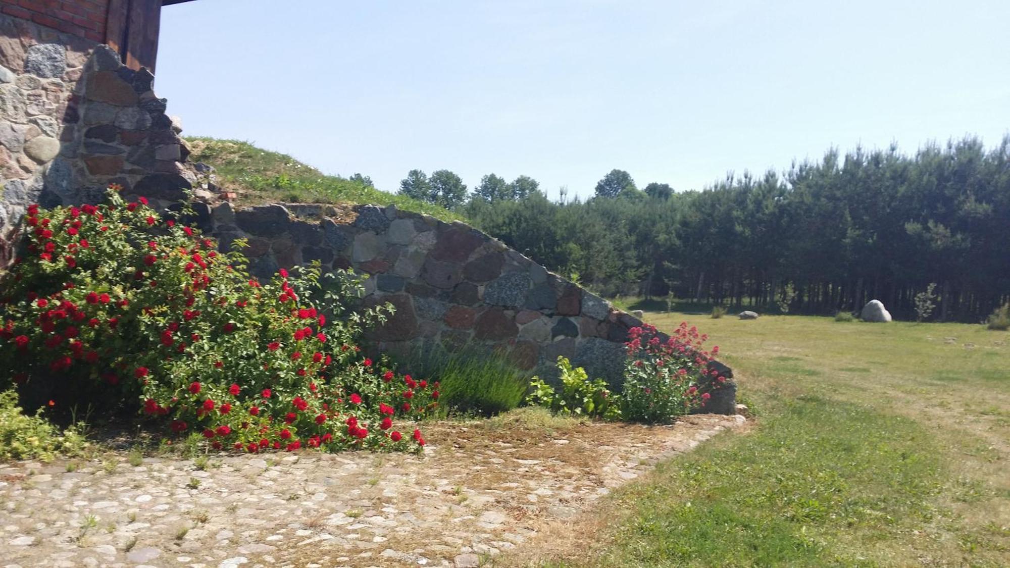 Villa Mazurska Knieja Milakowo Exterior foto
