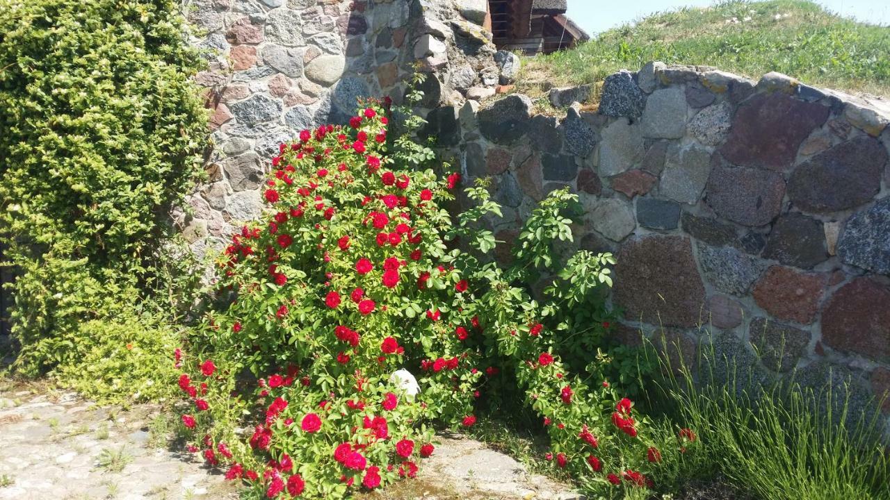 Villa Mazurska Knieja Milakowo Exterior foto